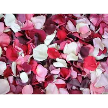 A1 Rose Petal